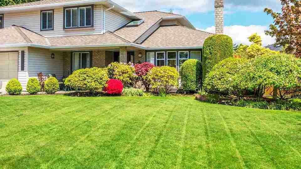 Landscapers in Corfe Mullen | Properly Planned Gardens