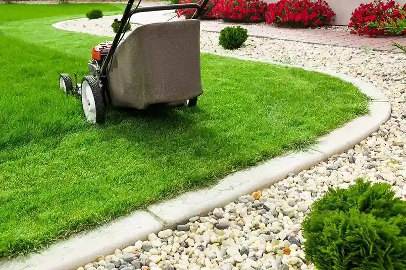 Landscapers in Ferndown for Low-Maintenance Gardens