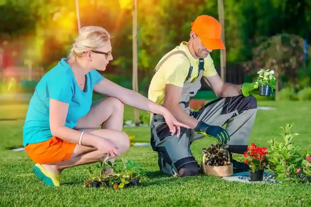 Landscapers in Wimborne | Garden Design & Installation