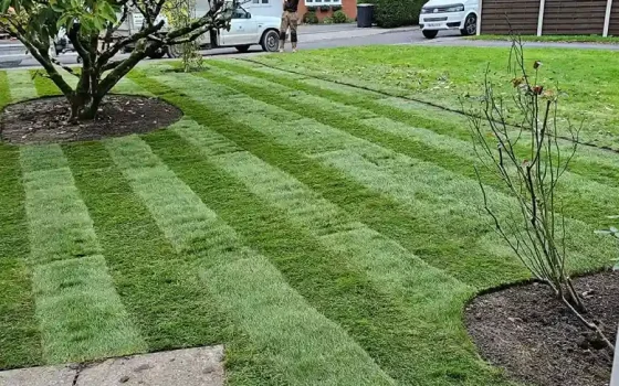 Landscaping Gallery | Garden Transformations in Bournemouth
