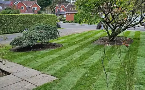 NexGen Landscapes Gallery | Stunning Outdoor Transformations