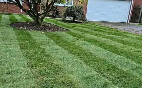 Recent Landscaping Work & Garden Designs in Bournemouth
